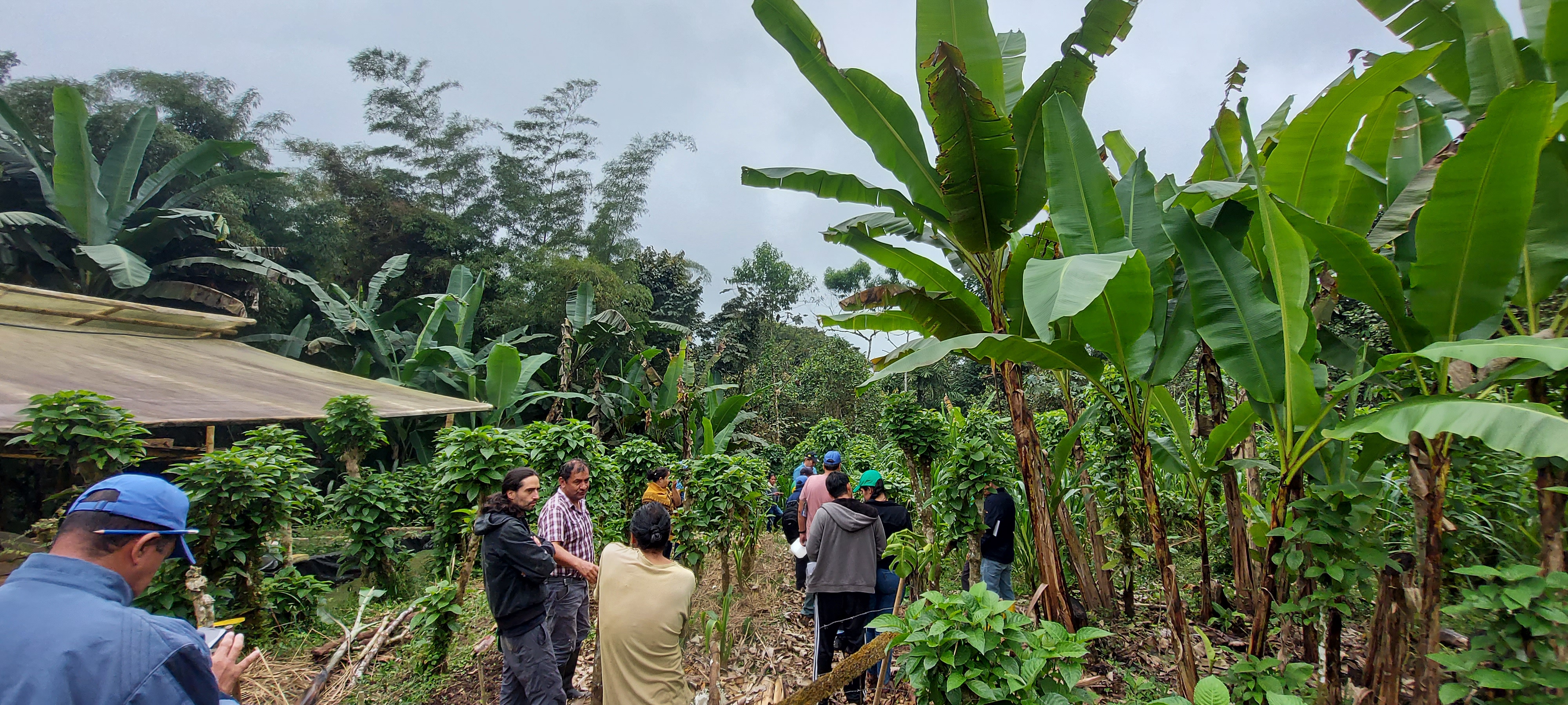 Agrodiversidad y procesos ecológicos